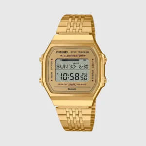 Casio Vintage ABL100WEG-9AVT Watch